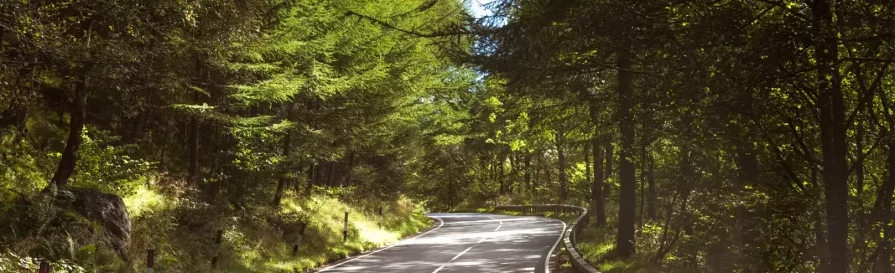 Winding UK country road
